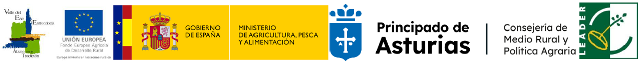 Logos de subvención del Gobierno de España y Fondos Europeos